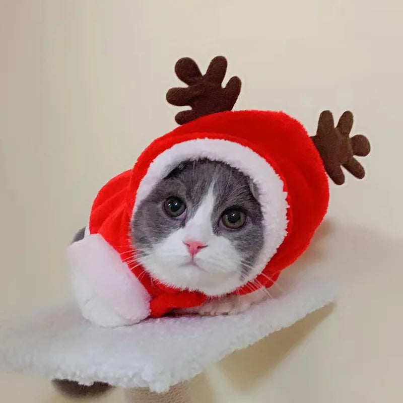 Christmas Sphynx Cat Hooded Sweater Winter Warm Pet Costume for Cats